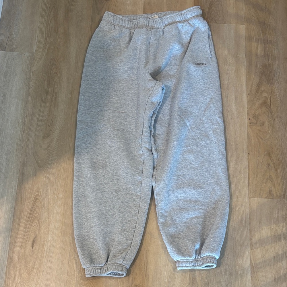 Aritzia Mega Fit sweatpants